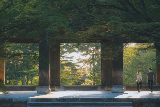 Yêu màu xanh lá vô tình đem lòng yêu cả Kyoto