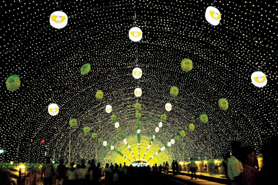 Lễ hội đom đóm tại Tokyo - 4 điểm ngắm đom đóm siêu lãng mạn
