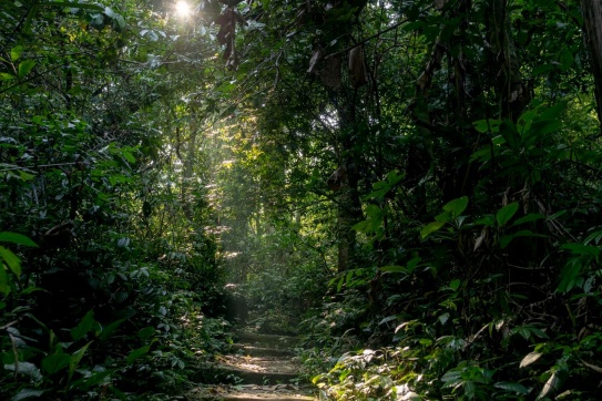 Mùa bướm bay | Đặc sản Cúc Phương