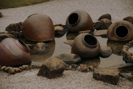 Mình bất ngờ khi tìm được Đan Viện Châu sơn trong chuyến đi Ninh Bình lần này.