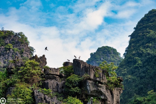 Review trải nghiệm Tam Cốc - Ninh Bình