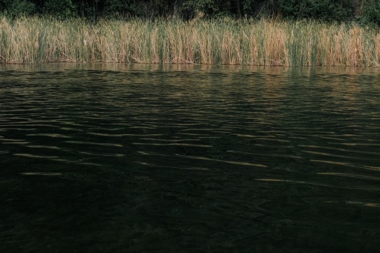 Bái Đính - Tràng An