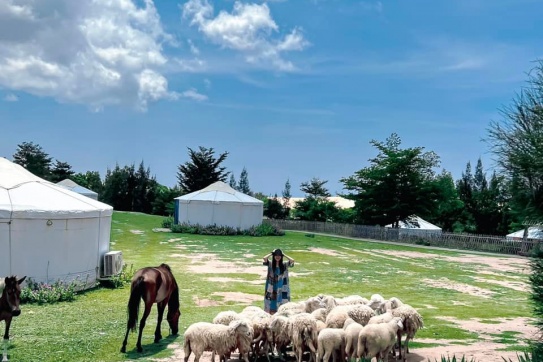 03 cung đường vi vu Ninh Thuận 