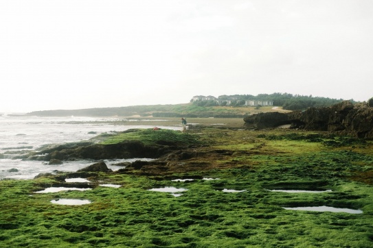 Mùa rêu | Hòn Đỏ, thôn Mỹ Hiệp, tỉnh Ninh Thuận