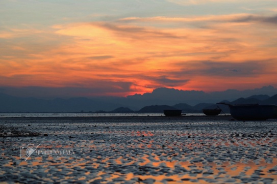 Một chốn bình yên dưới ánh nắng cuối ngày ở ...