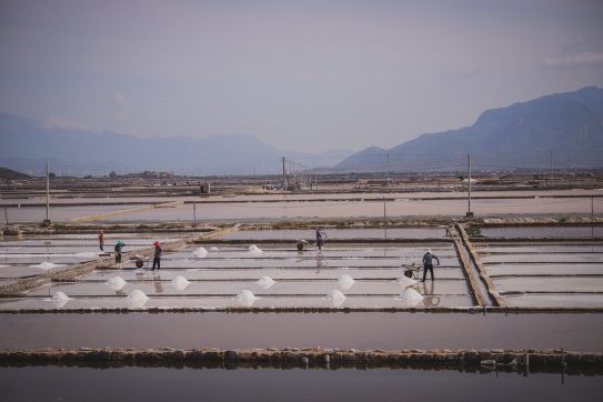 Mặt trời gọi muối.