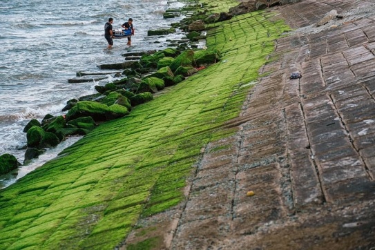 Ngắm một Phan Rang bình yên như thế! 