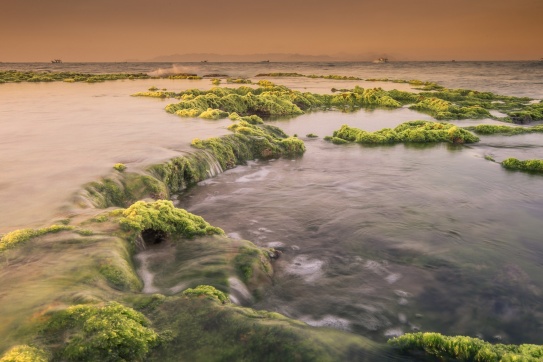 Sóng và rêu tại hòn đỏ Ninh Thuận mùa đẹp nhất.