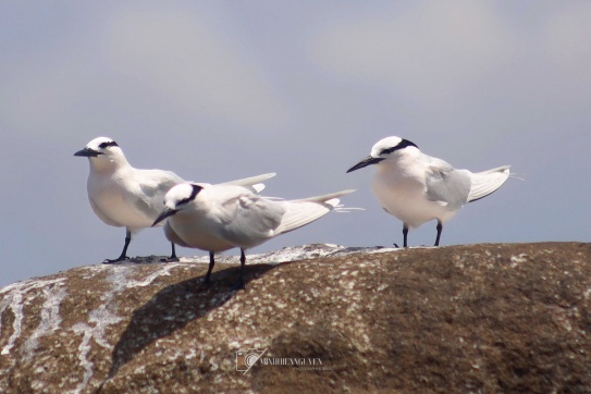 Có những khoảnh khắc tuyệt vời ...