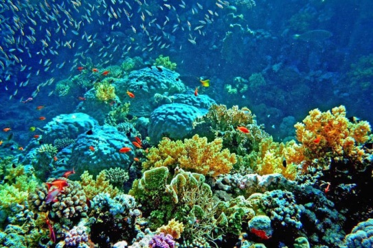 Check-in Coron (Philippines)