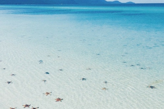 Rụng rời với vẻ đẹp Làng chài Rạch Vẹm (Phú Quốc) mùa sao biển