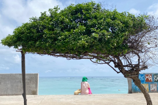 Góc check-in xinh lung linh không-thể-bỏ-qua ở Đảo Phú Quý