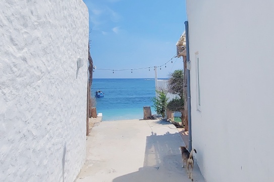 Phú Quý | Mình có hẹn với thanh xuân