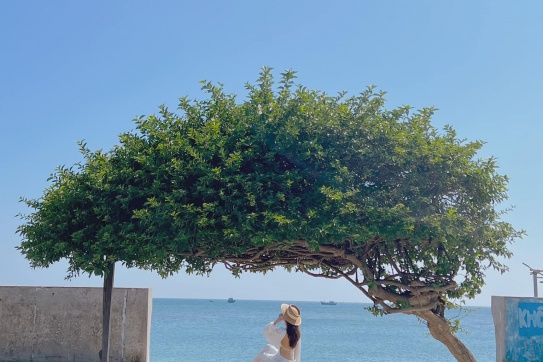 Đón nhận năng lượng vũ trụ