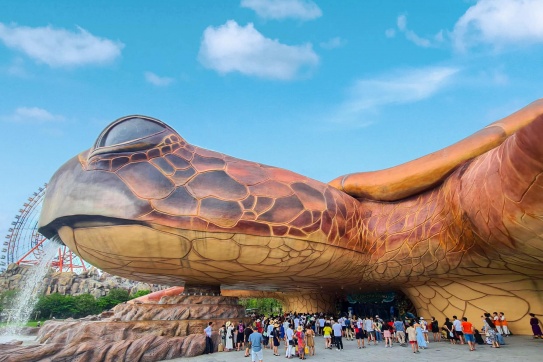 Chú rùa khổng lồ đang gây náo loạn tại Phú Quốc