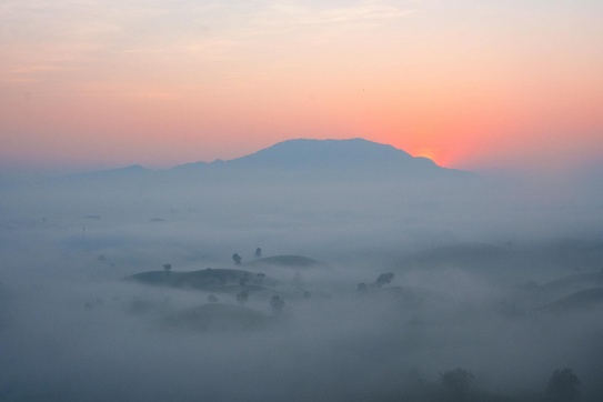 Đồi chè Long Cốc - Vườn QG Xuân Sơn - Phú Thọ