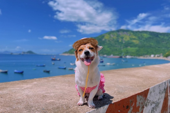 Con đã check-in Phú Yên. Đẹp xỉu luôn cô chú ơiiii