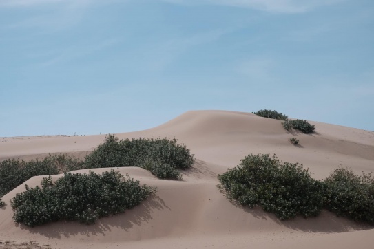 Phú Yên và những ngày lang thang