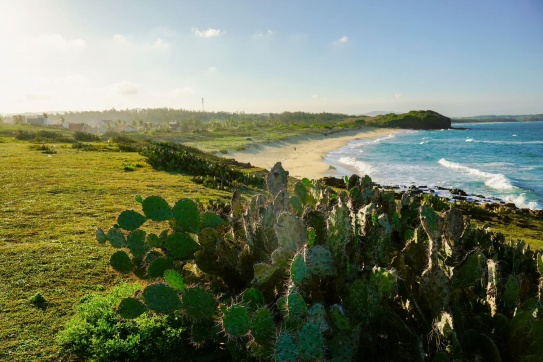 “Xứ Hoa Vàng Cỏ Xanh” Phú Yên Có Đẹp Như Lời Đồn