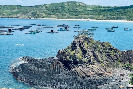 Nếu bạn là một người yêu màu xanh của biển và nắng vàng....