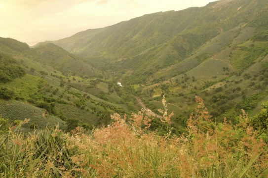 Núi Dinh và thung lũng dứa Suối Cái (Phú Yên)