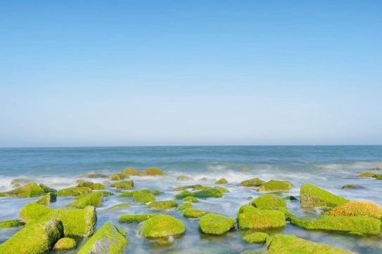 Mùa rêu xanh tháng 3 tại Phú Yên.