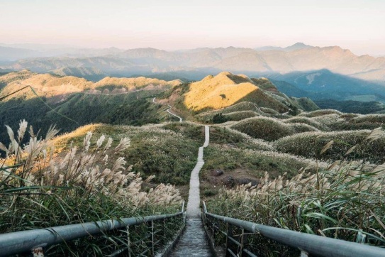 Cánh đồng cỏ lau bình yên Bình Liêu - Quảng Ninh