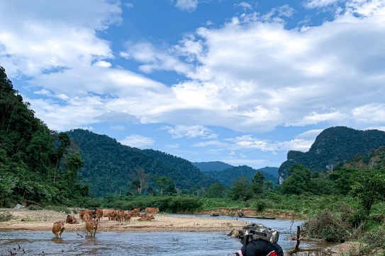 Khám phá các hang động lớn “lọt top” thế giới tại Quảng Bình