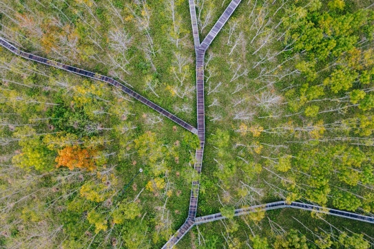 Mùa thu Châu Âu ngay tại Việt Nam