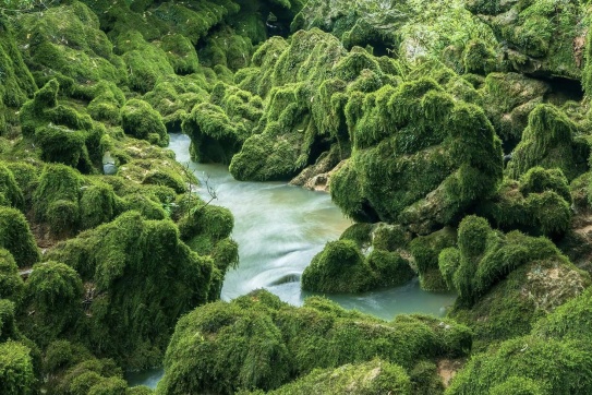 Thêm một hệ thống hang động độc đáo được phát hiện ở Quảng Bình