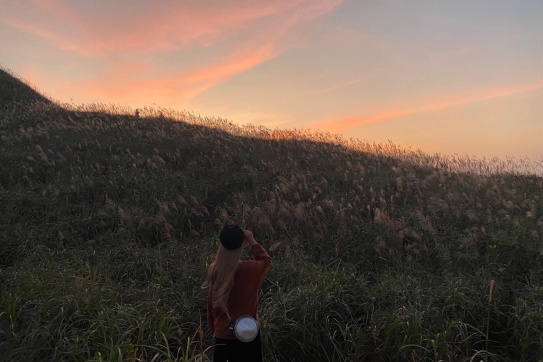 Mùa hoa cỏ lau ở Bình Liêu