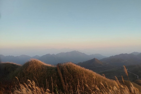 Chuyến đi độc hành ngẫu hứng