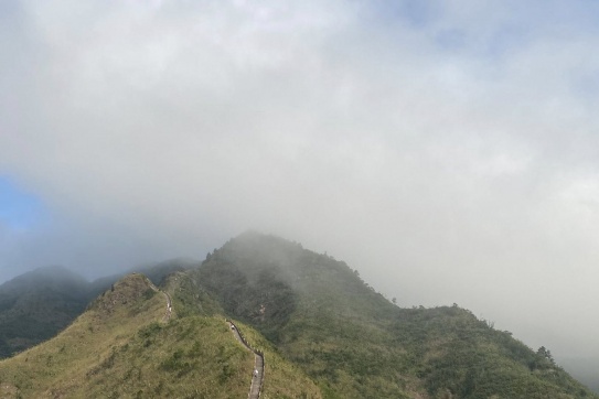 Đứng giữa sống lưng khủng long 1305....