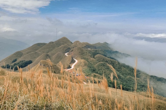 “Thiên đường cỏ lau” Bình Liêu | Một vài lưu ý nho nhỏ