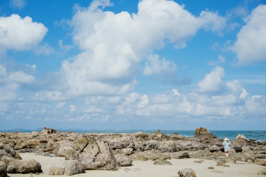 Đi biển không phải để tắm...