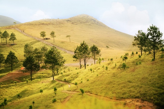 Đồi Phượng Hoàng - TP. Uông Bí (Quảng Ninh) 