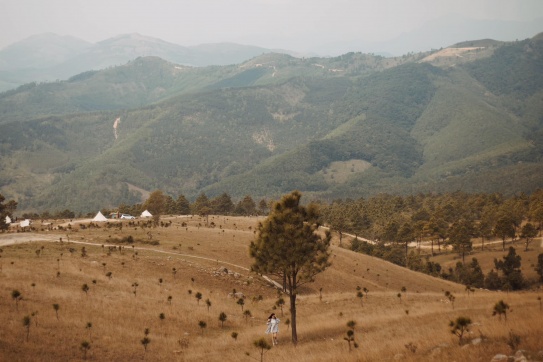 Đỉnh Phượng Hoàng chưa bao giờ là hết hot