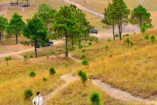 Đỉnh Phượng Hoàng một ngày không nắng!