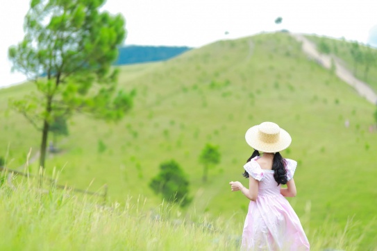 Đồi Phượng Hoàng có 2 trạng thái chính ....