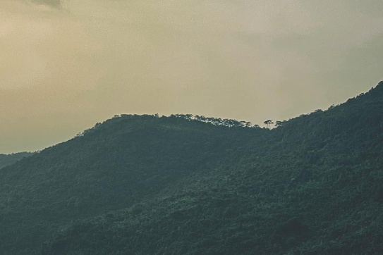 Đỉnh Phượng Hoàng - Quảng Ninh