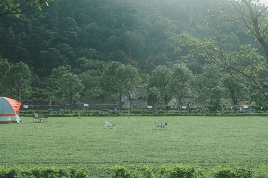 Yên Tử | Sức mạnh của màu xanh