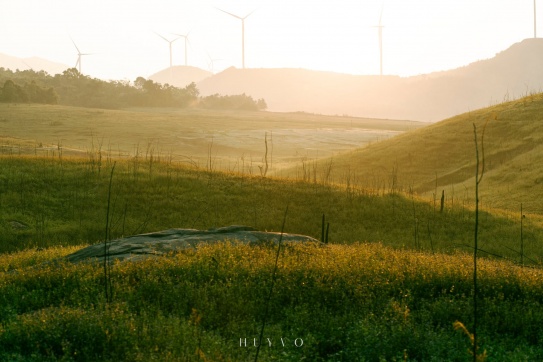 Có một bức tranh mộc mạc phía Tây Quảng Trị