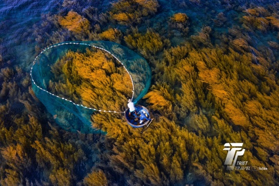 Check-in Quy Nhơn | Dịu dàng sắc thu trên biển