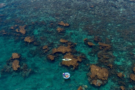 Hòn Khô - Quy Nhơn Và Chuyến Đi Bất Chợt Không Hẹn Trước