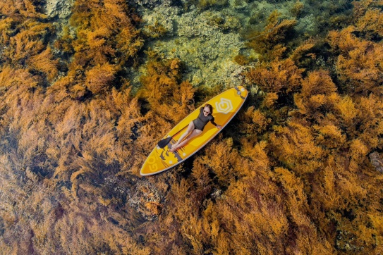 Tháng 4 - 5 này bạn đã sẵn sàng cho chuyến đi Quy Nhơn để ngắm nhìn Khu vườn Rong Mơ chưa?