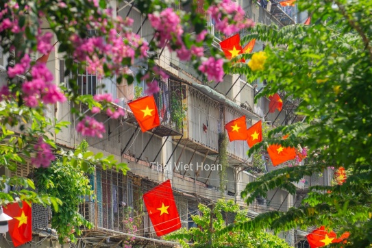 Sài Gòn những ngày này ...