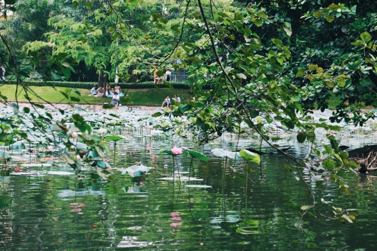 Thảo Cầm Viên - một trong những vườn thú lâu đời nhất thế giới.