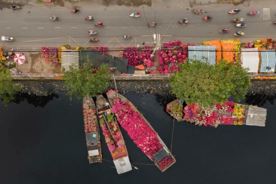 “Trên Bến Dưới Thuyền” – Tuần lễ trái cây Miền Tây tươi ngon ngay tại Tp.HCM