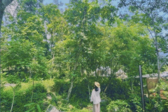 Sapa khi mùa xanh về lấp ló