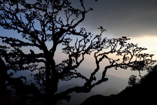 Trekking “nóc nhà Đông Dương” Fansipan 3.143m